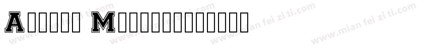 Amasis MT_mian字体转换